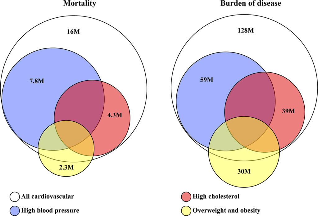 BMI Distribution