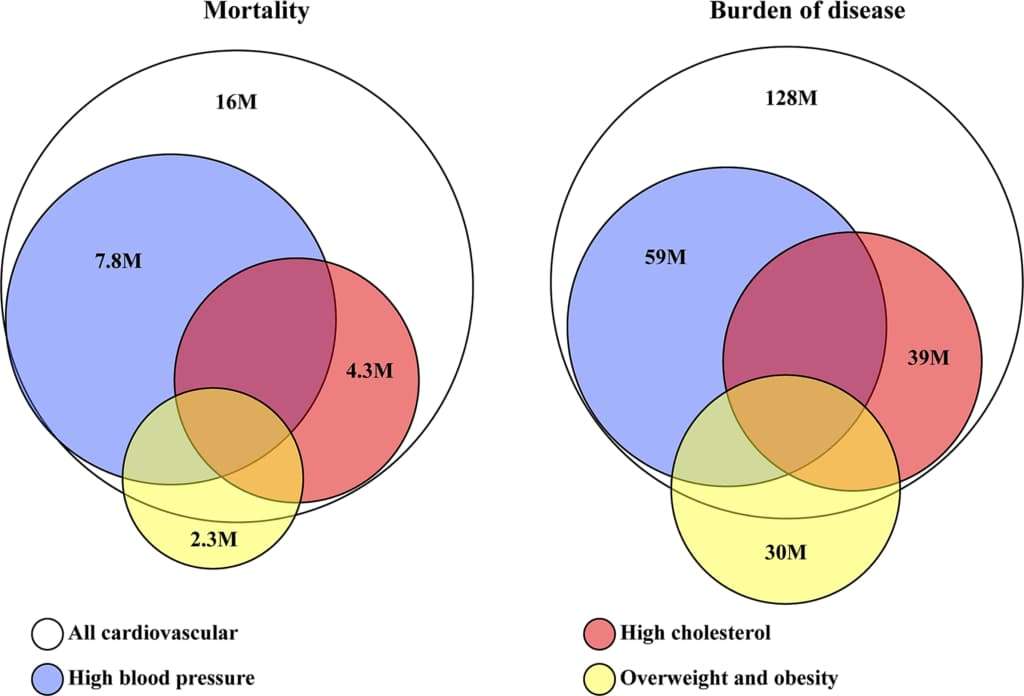 BMI Distribution